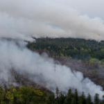 Greenpeace Bongkar 52 Perusahaan yang Terkait Dampak Kebakaran Hutan di Indonesia, Malaysia dan Singapura Ikut Disorot
